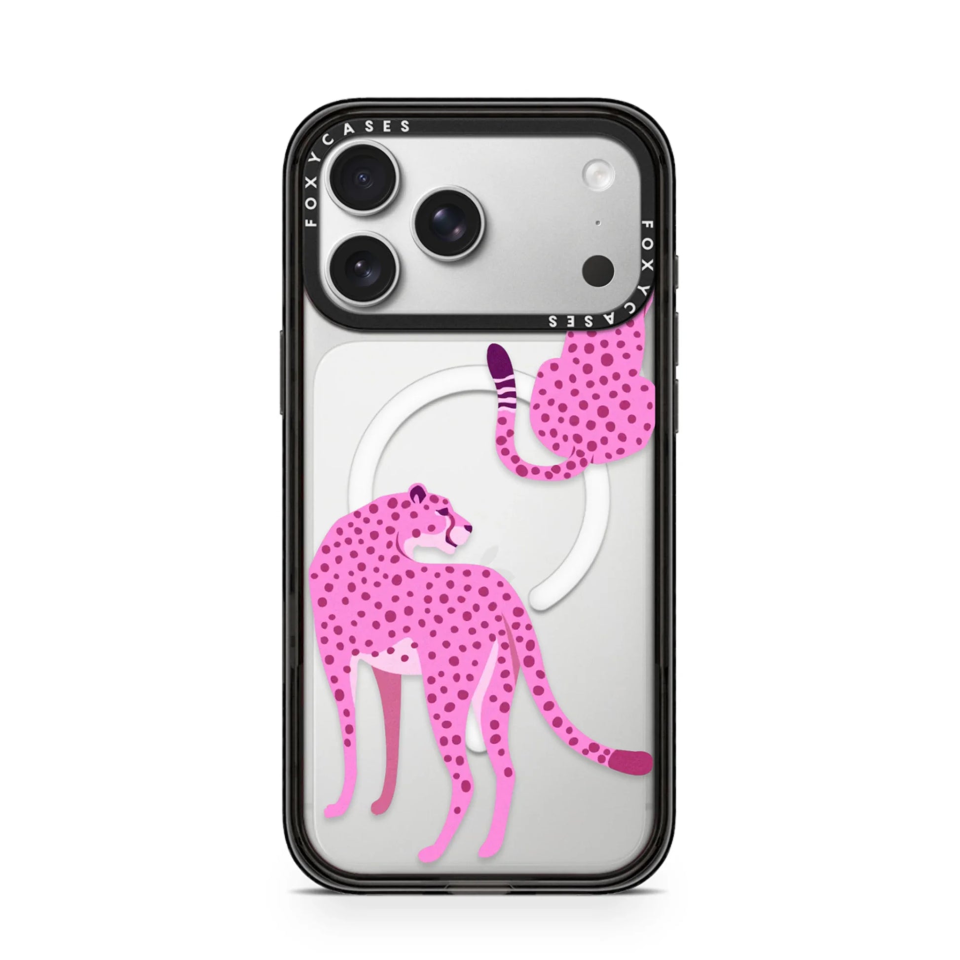 iPhone-17-Pro-Max-Silver