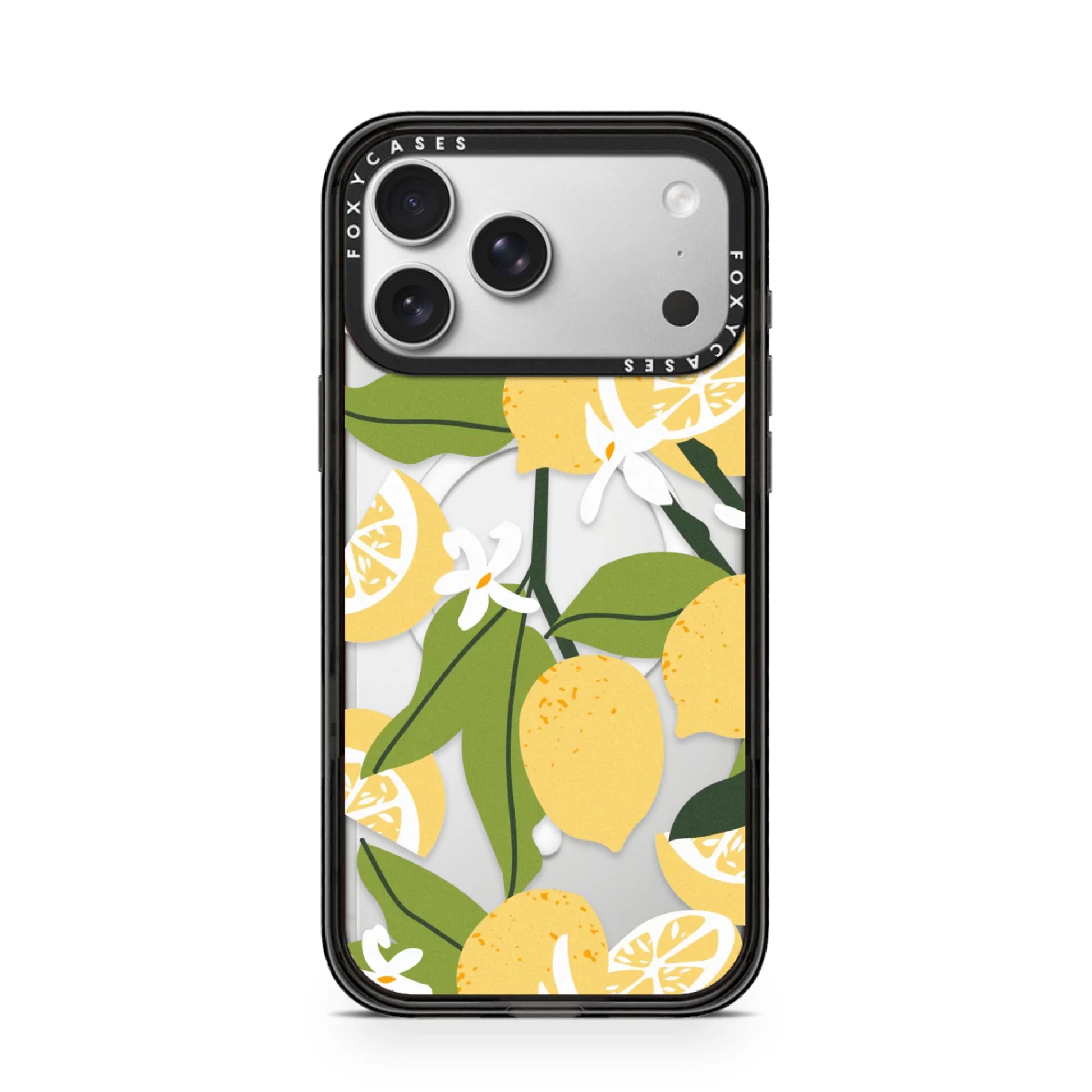 iPhone-17-Pro-Max-Silver