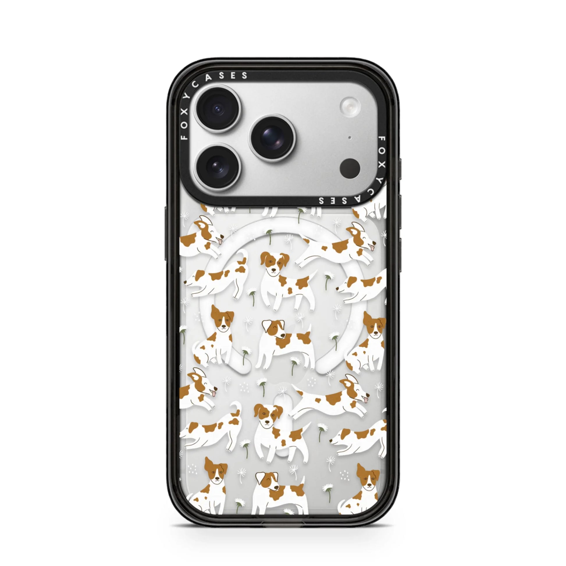iPhone-17-Pro-Silver