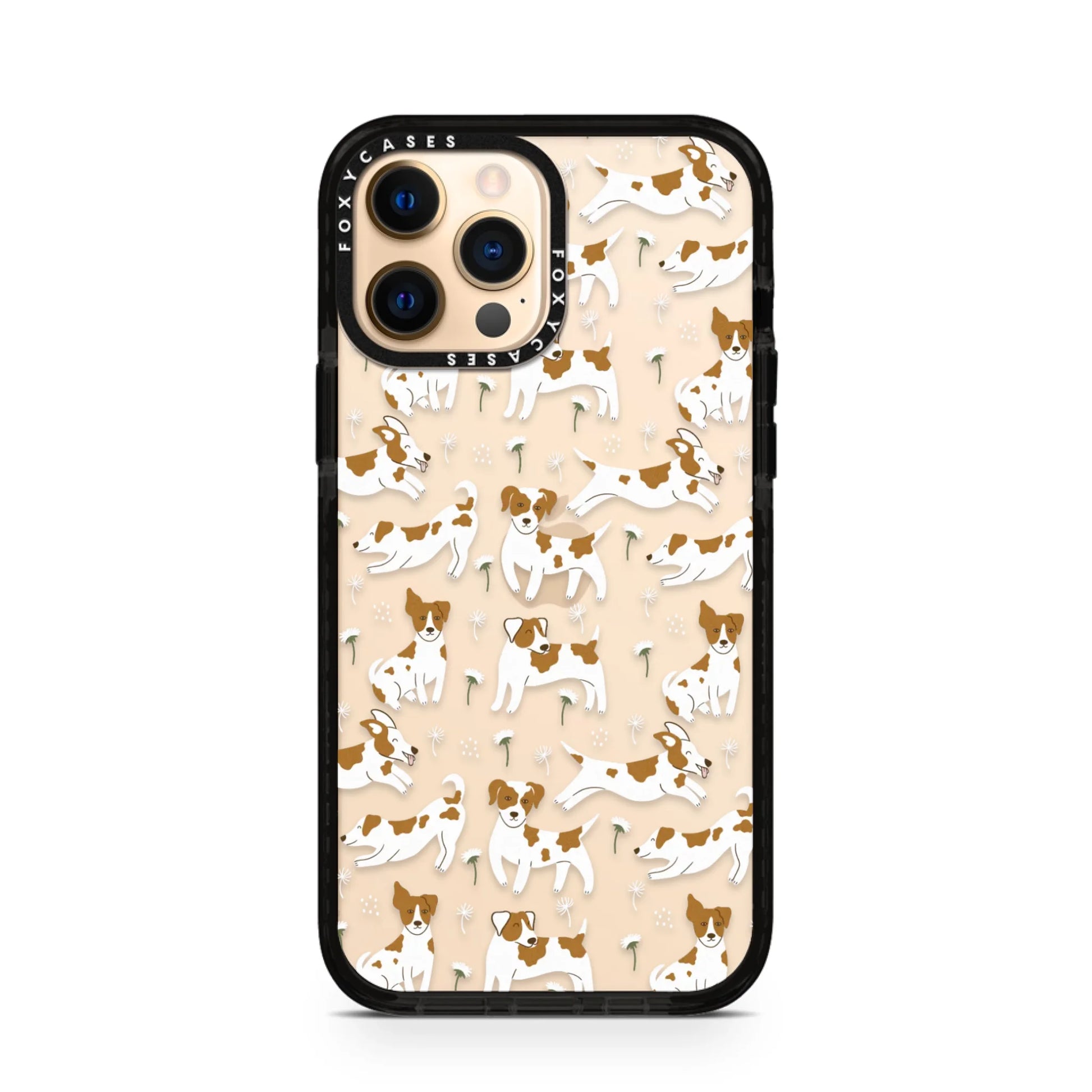 iPhone-12-Pro-Max-Gold
