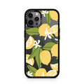 iPhone-12-Pro-Graphite