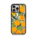 iPhone-16-Pro-Max-Natural-Titanium