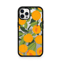 iPhone-12-Pro-Silver