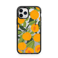 iPhone-11-Pro-Silver
