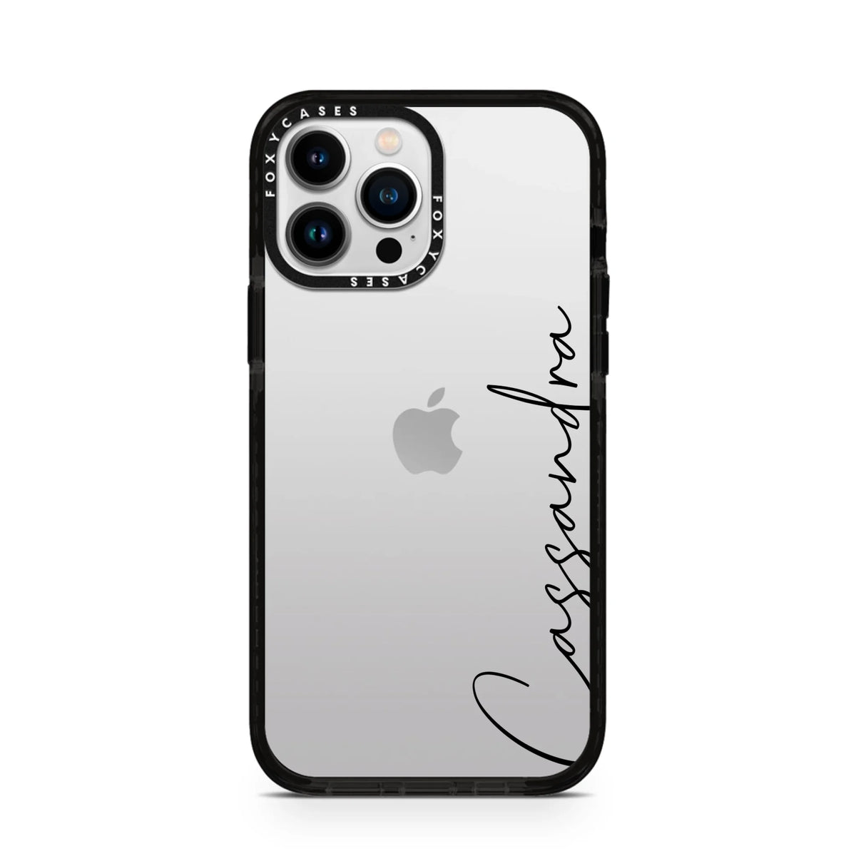 iPhone-13-Pro-Max-Silver