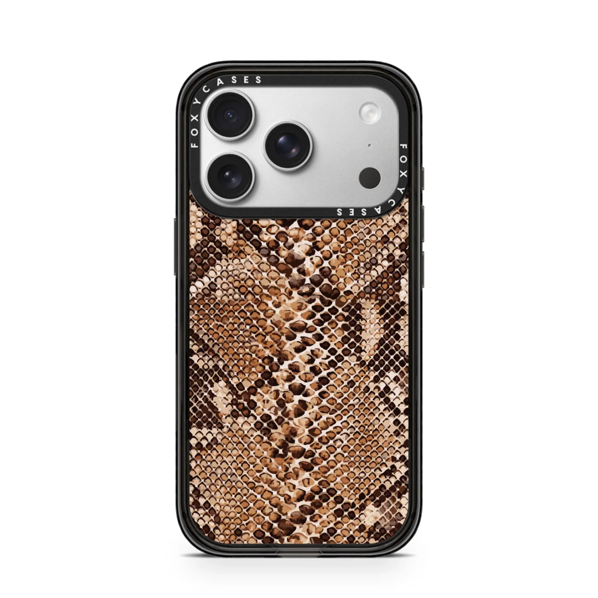 iPhone-17-Pro-Silver